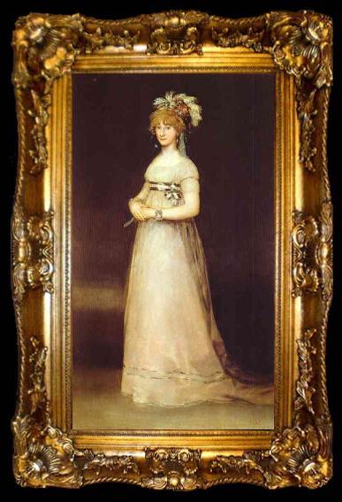 framed  Francisco Jose de Goya Portrait of the Countess of Chinchon., ta009-2